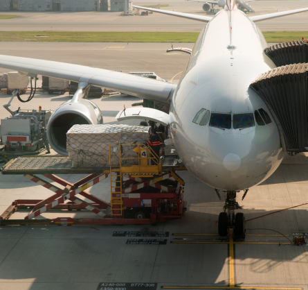 Cargo Training